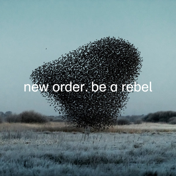 Productafbeelding 1